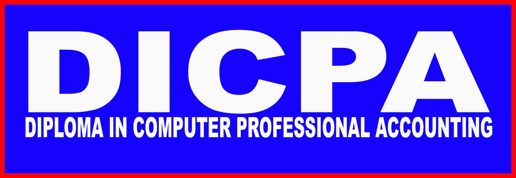 DIPLOMA IN COMPUTER PROFESSIONAL ACCOUNTANT
